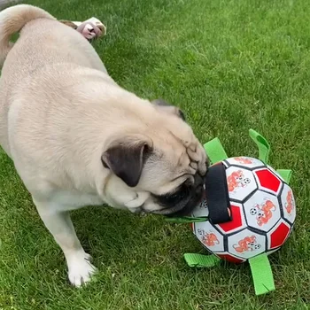 Köpek Oyuncak Futbol Bite Diş Eziyet Köpek Oyuncak Pet Interaktif Oyuncak
